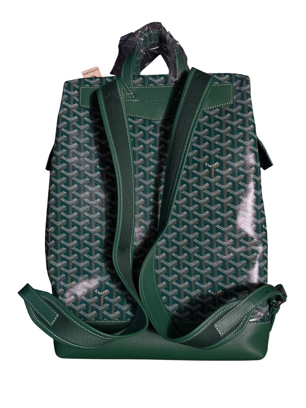 Goyard Green Cisalpin Backpack