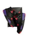 Jordan 4 Raptors
