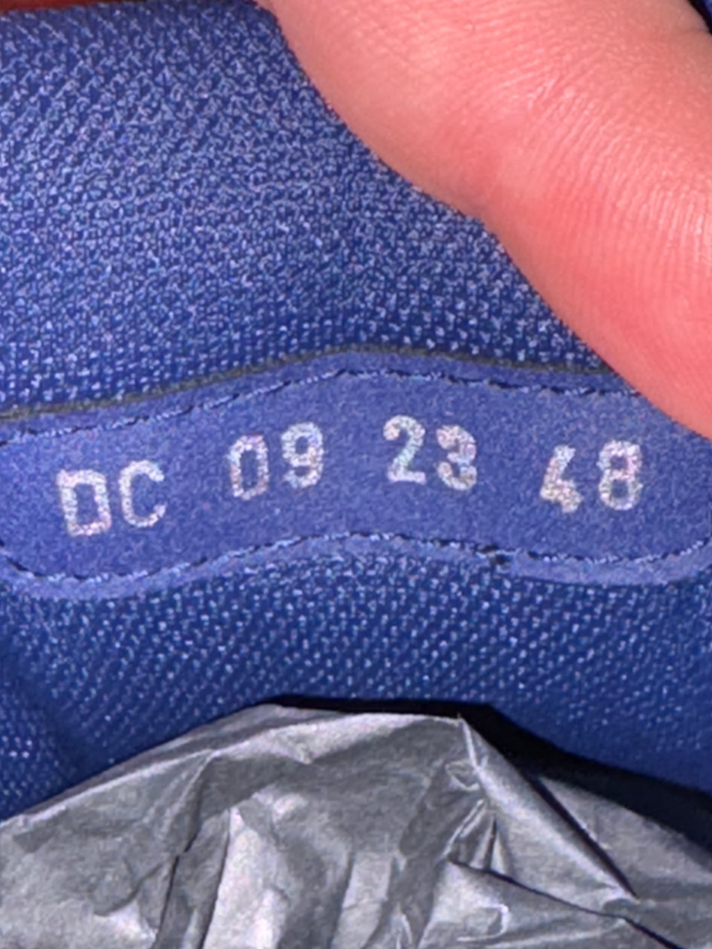 Dior B30 Navy Sneaker