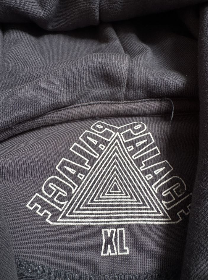 Palace Pal Ice Hoodie