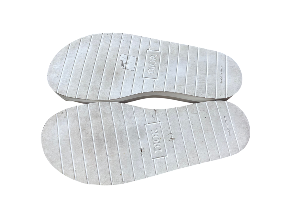 Dior Alpha Slide Brown Navy