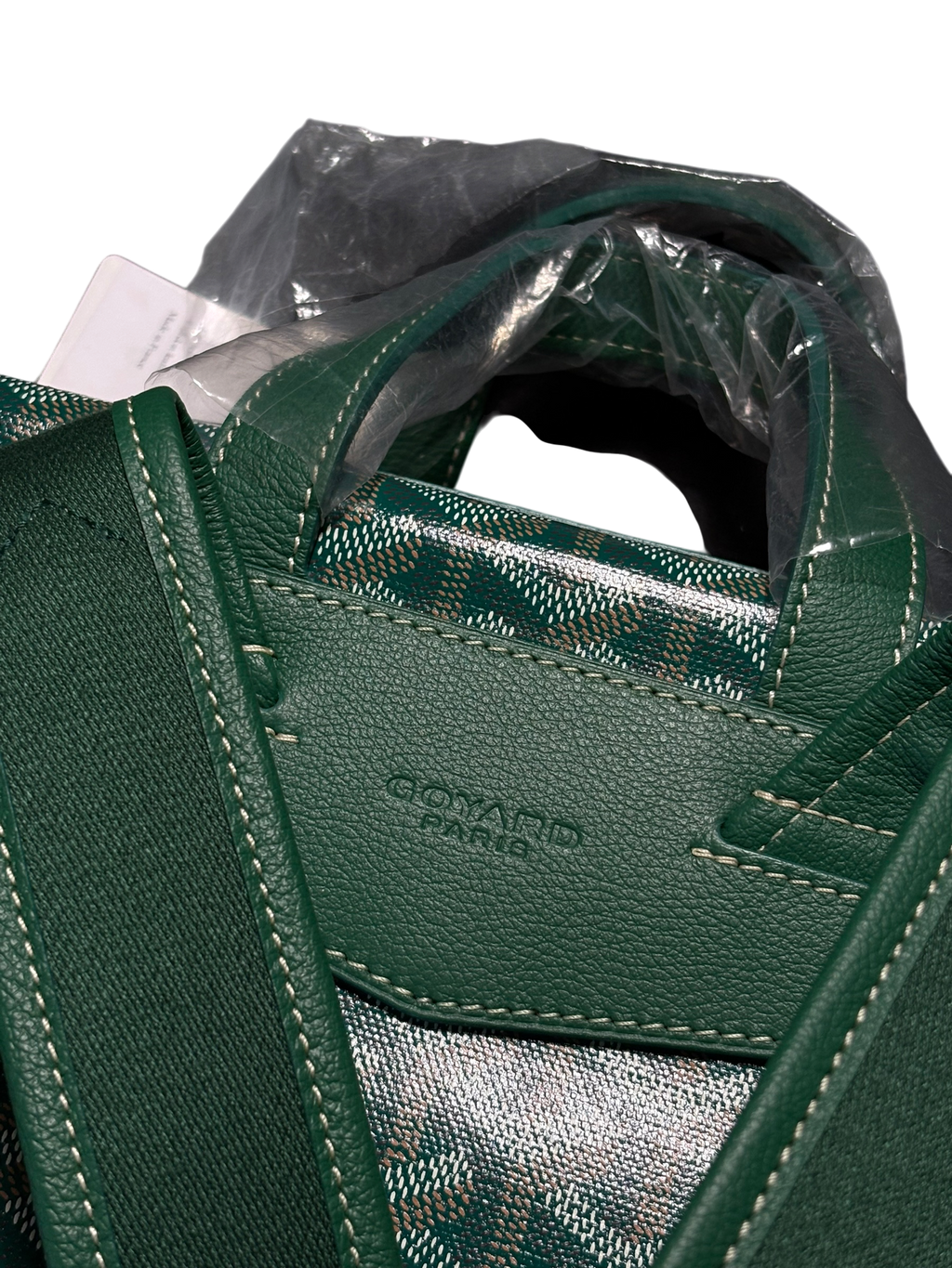 Goyard Green Cisalpin Backpack