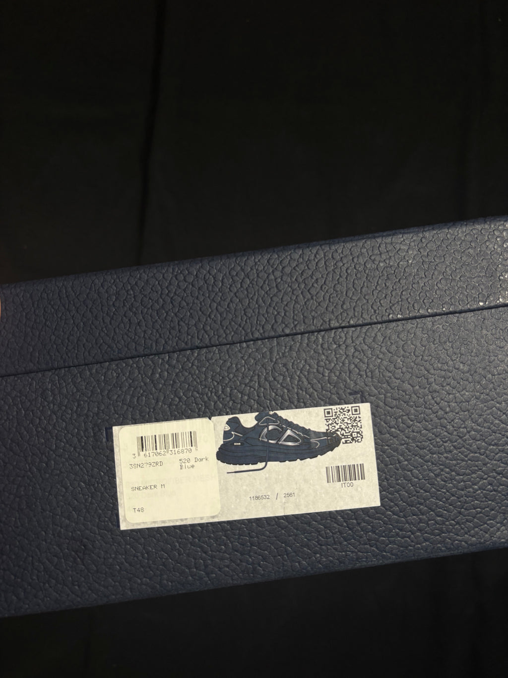 Dior B30 Navy Sneaker