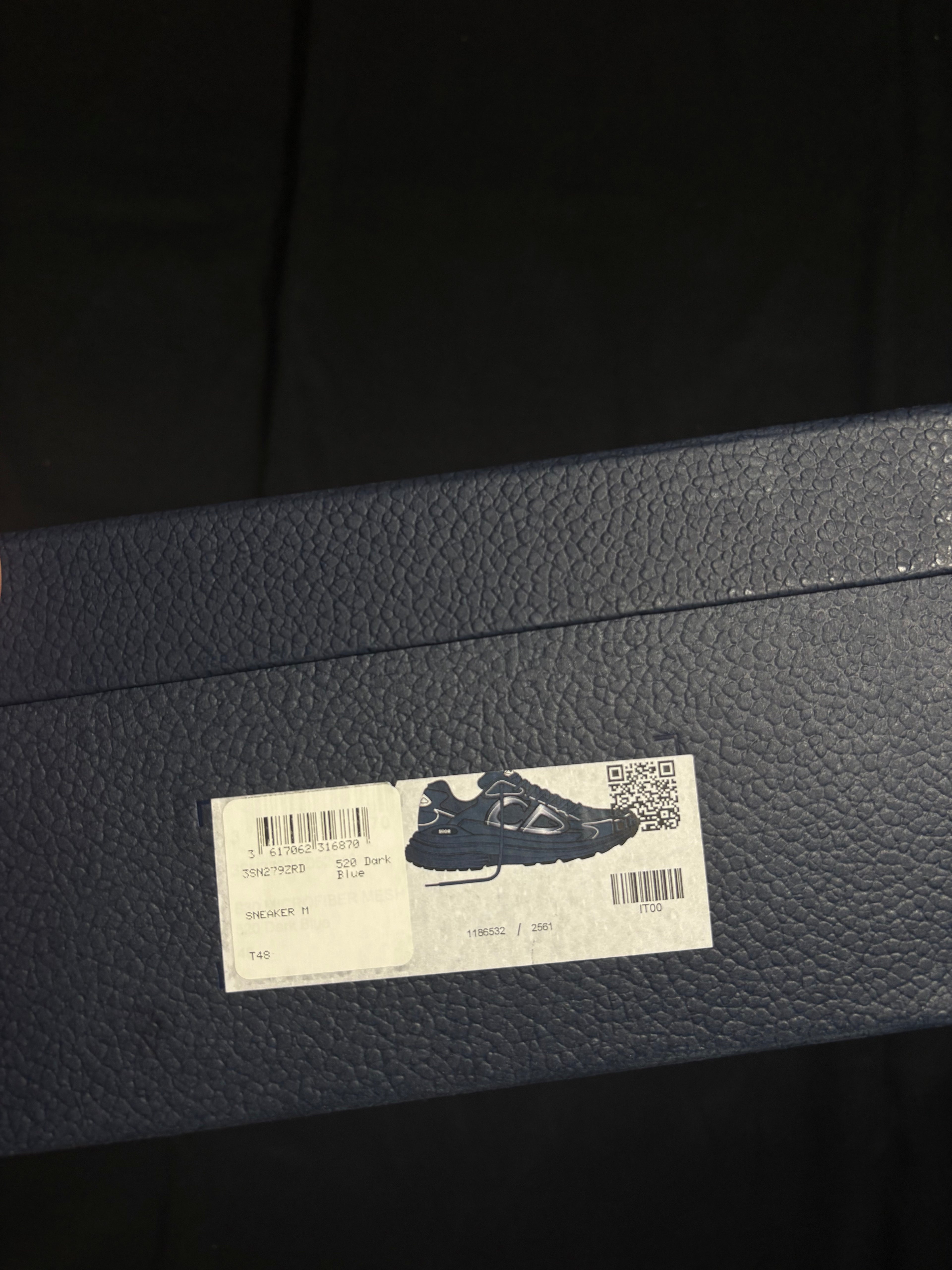 Dior B30 Navy Sneaker