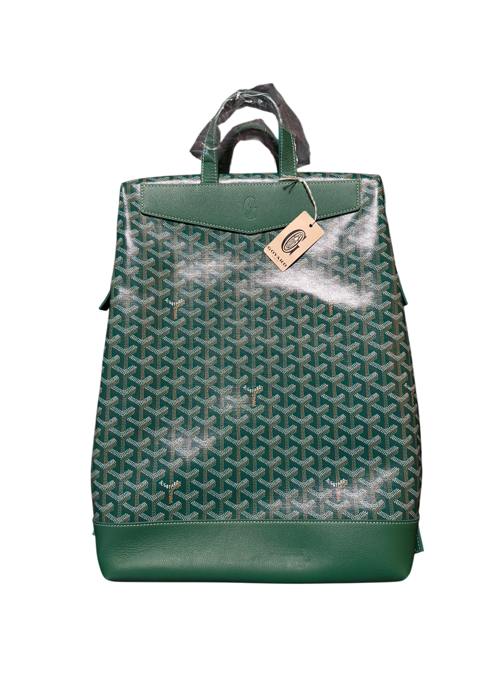 Goyard Green Cisalpin Backpack