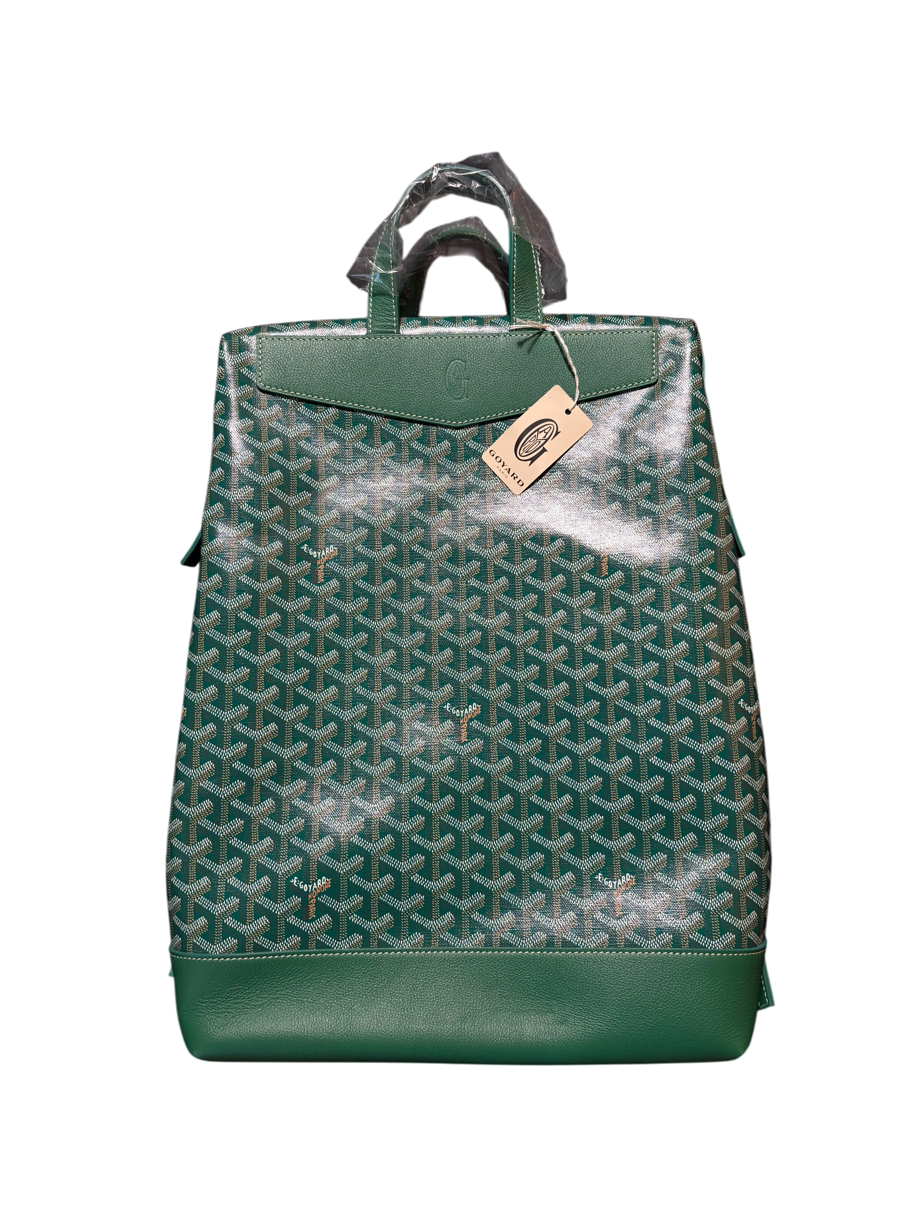 Goyard Green Cisalpin Backpack