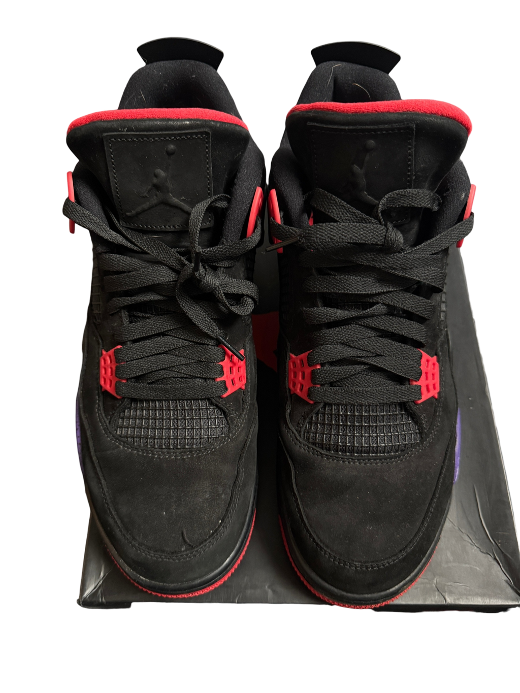 Jordan 4 Raptors