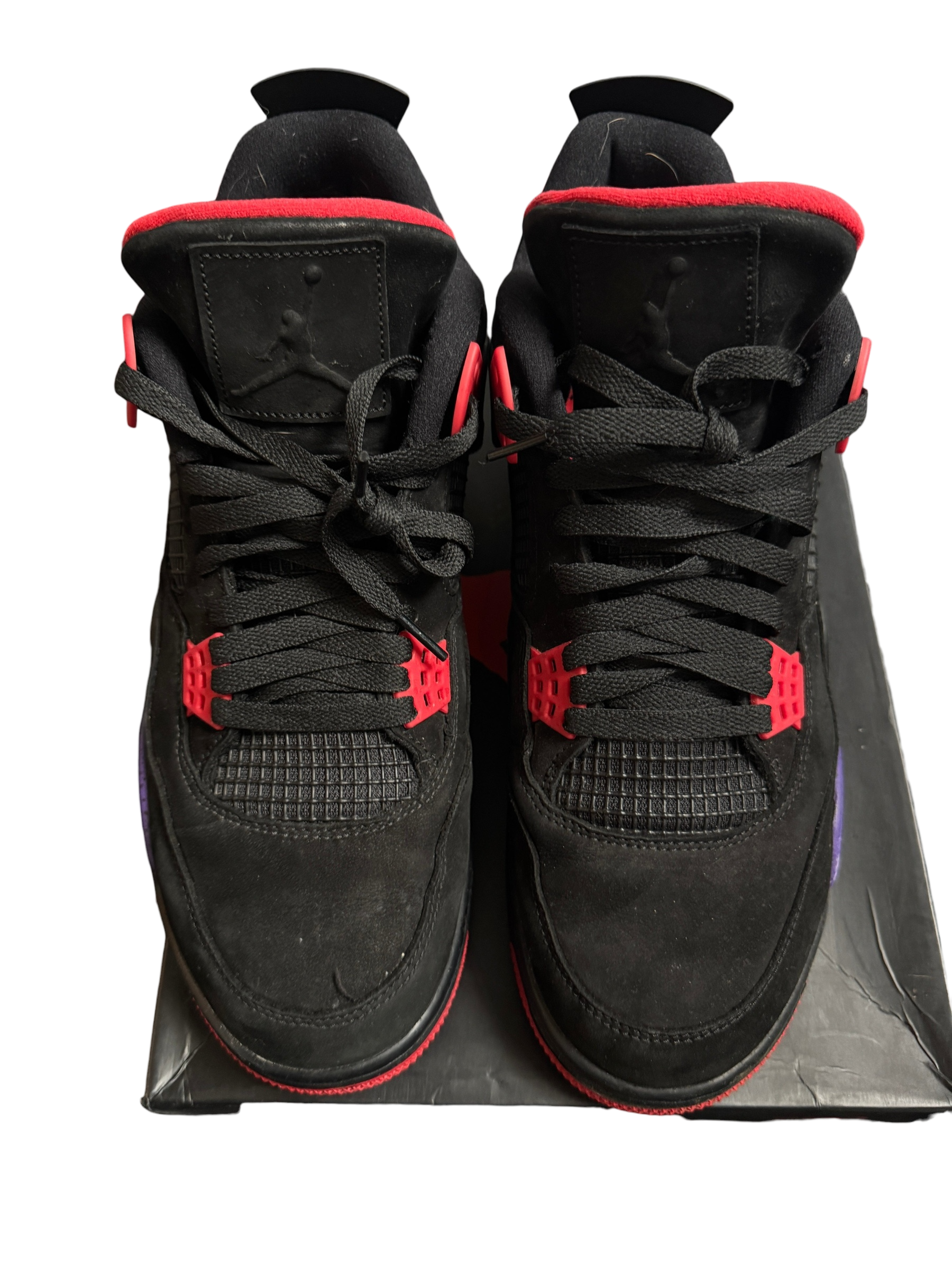 Jordan 4 Raptors