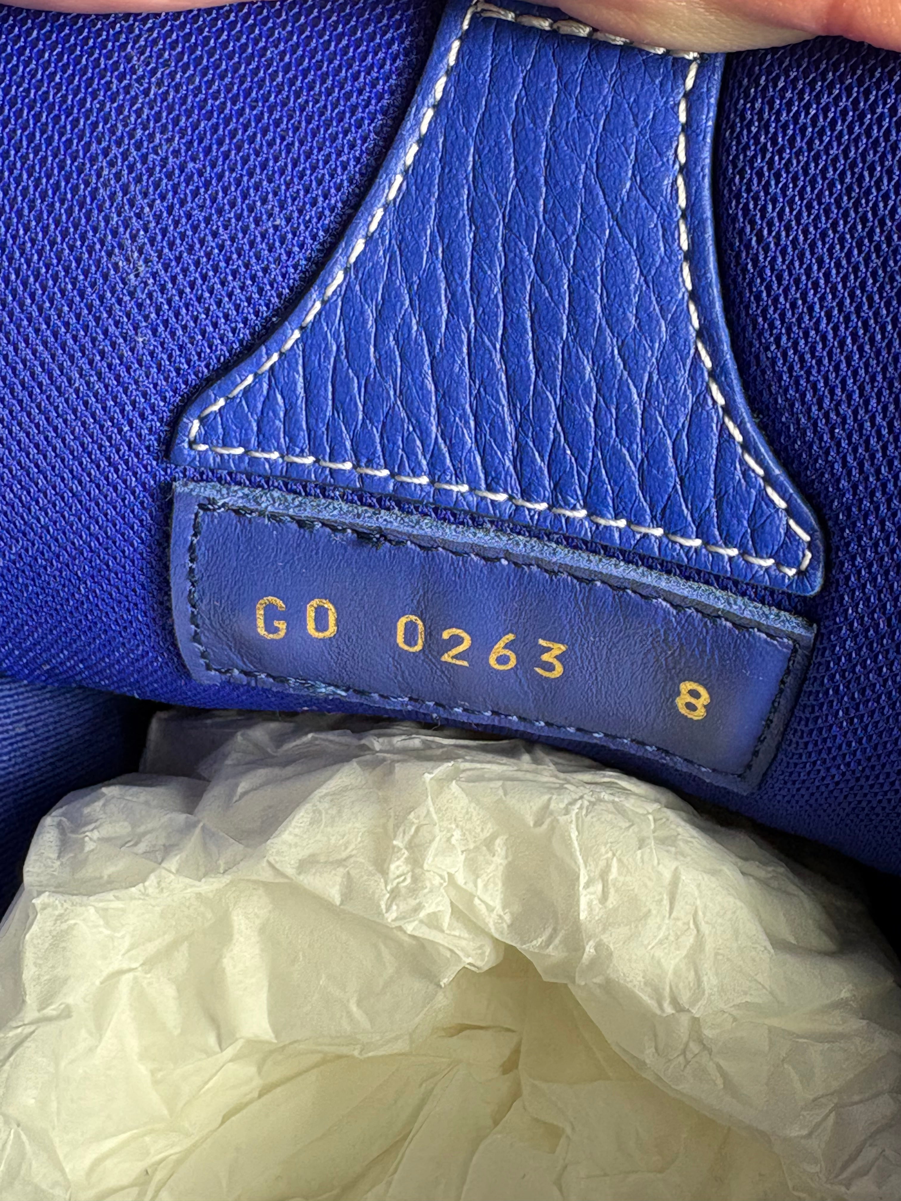 Louis Vuitton Skate Sneaker Blue - 8LV