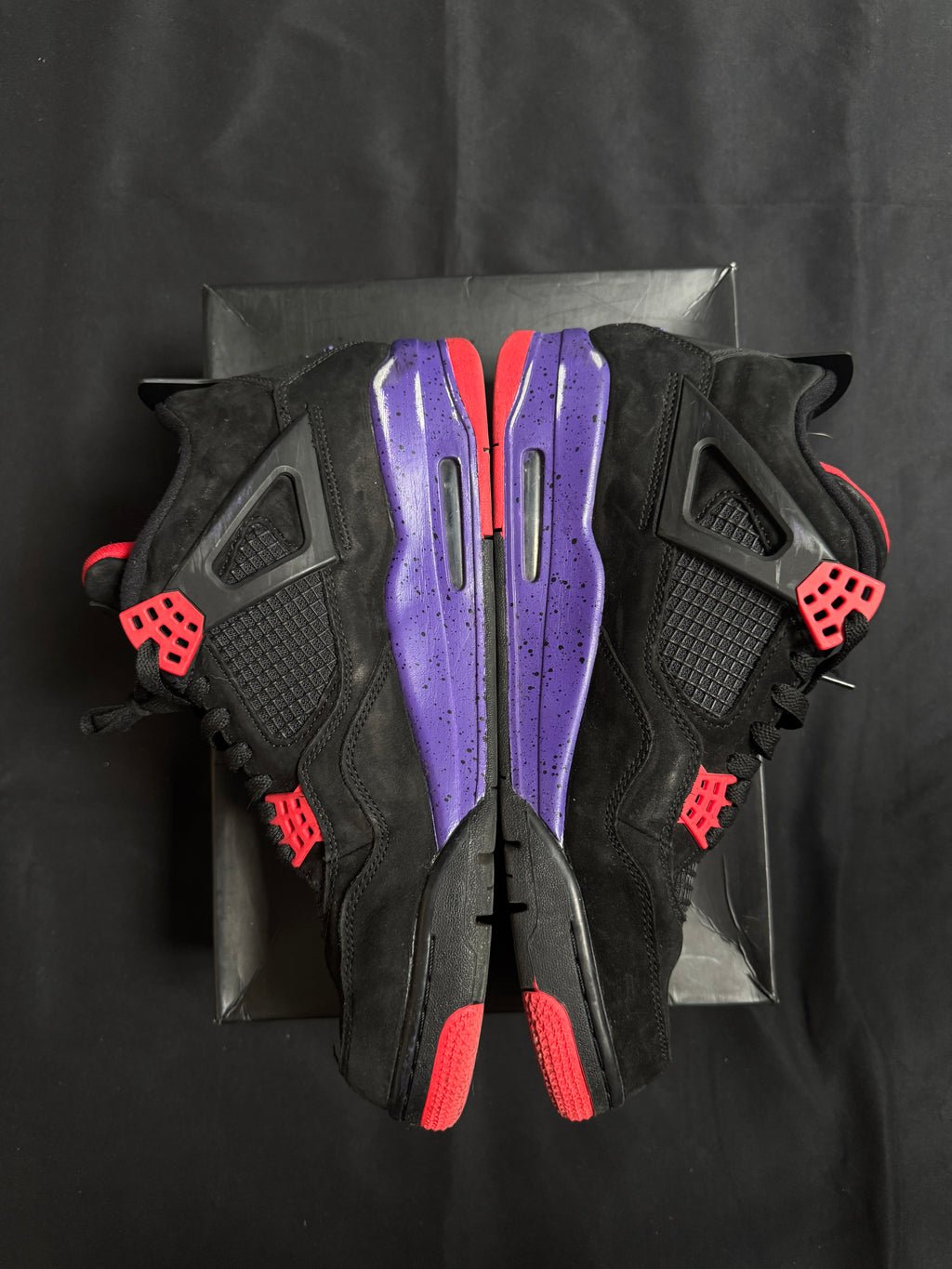 Jordan 4 Raptors