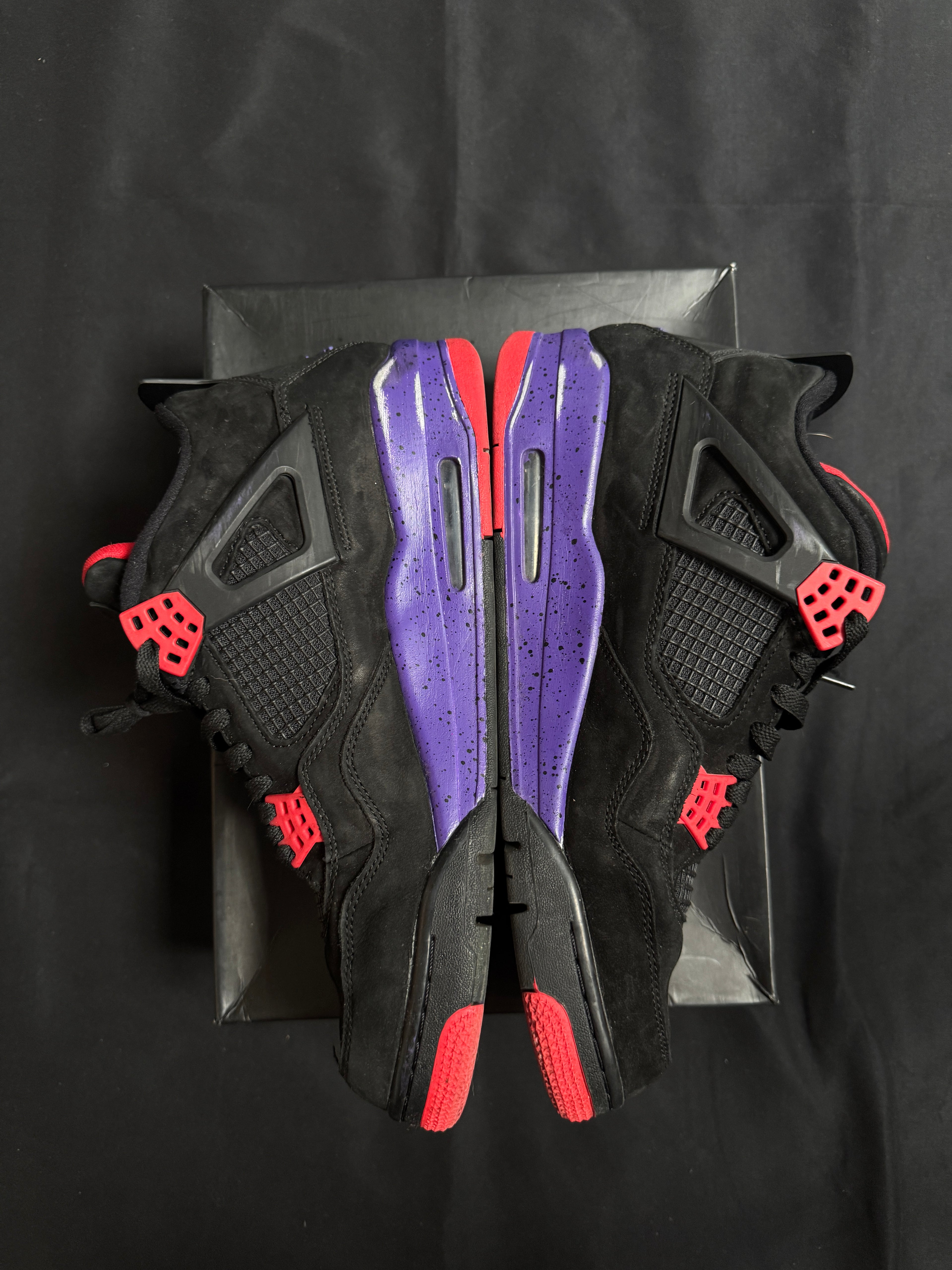 Jordan 4 Raptors