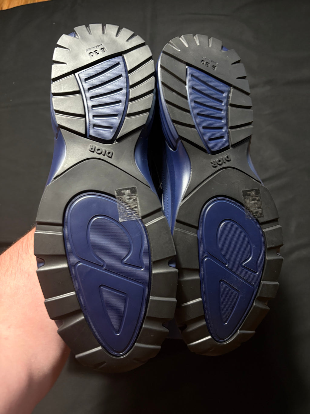 Dior B30 Navy Sneaker