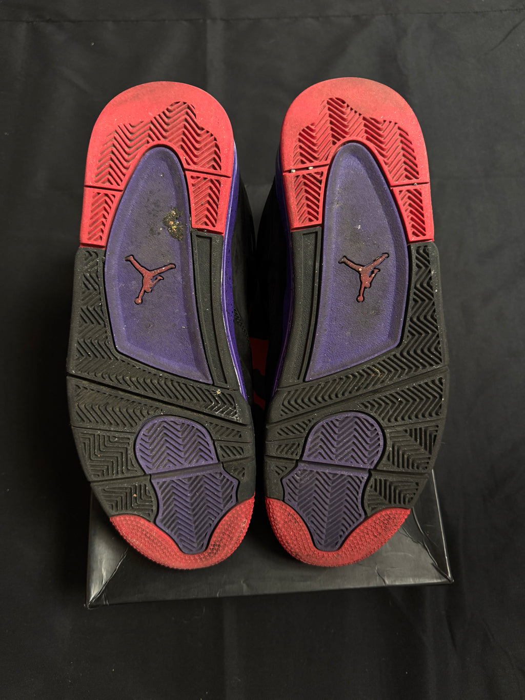 Jordan 4 Raptors