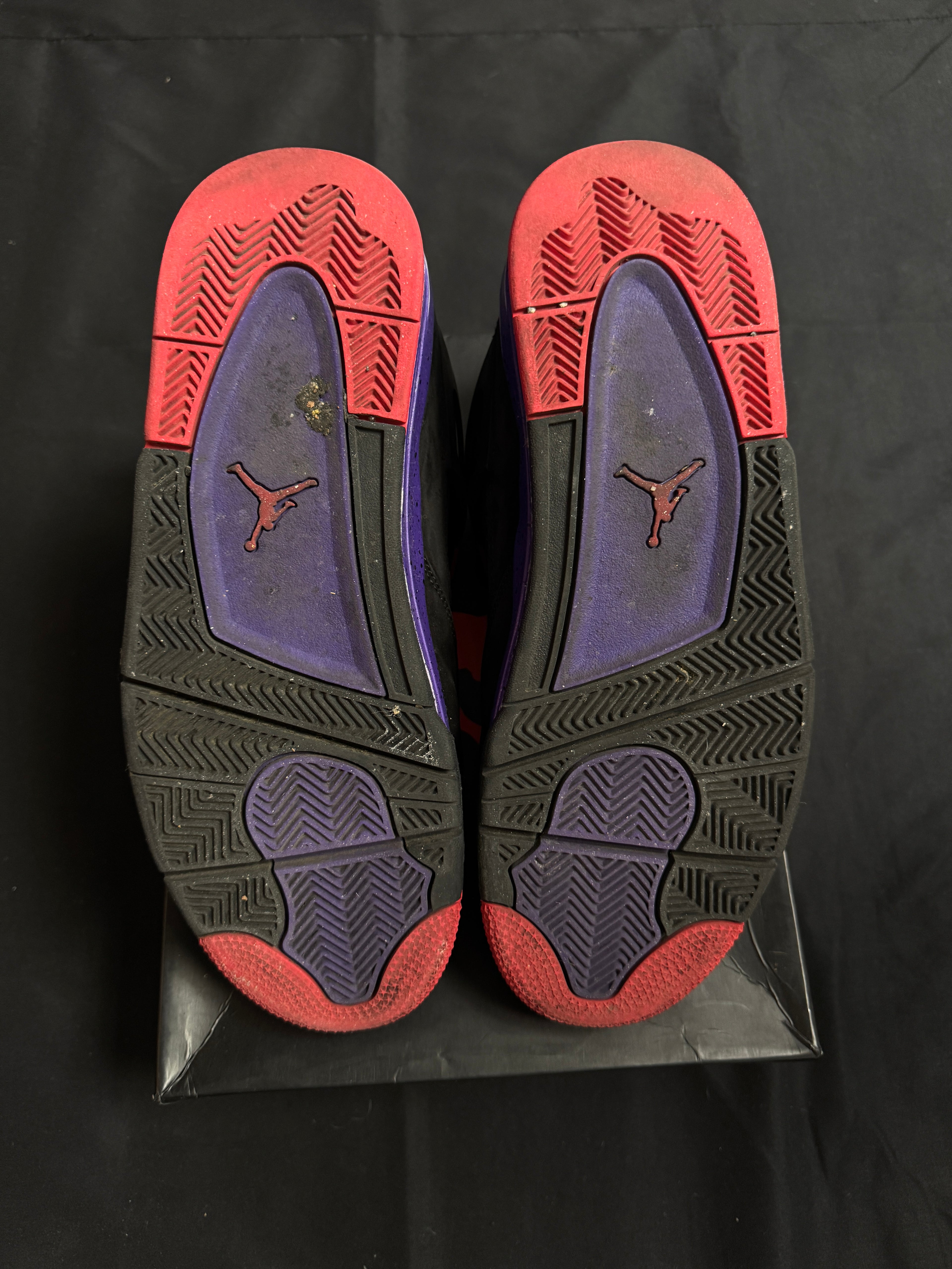 Jordan 4 Raptors