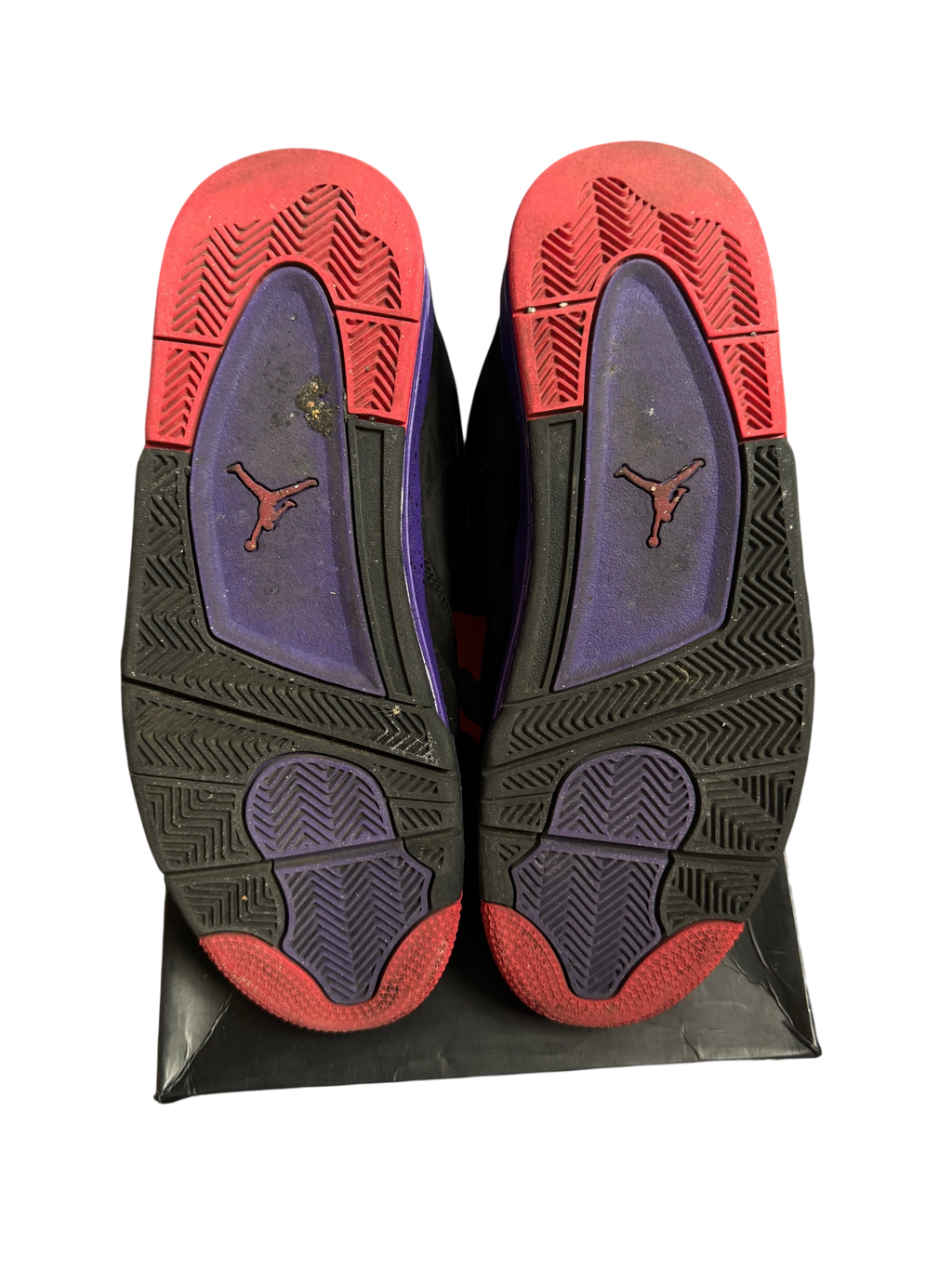 Jordan 4 Raptors