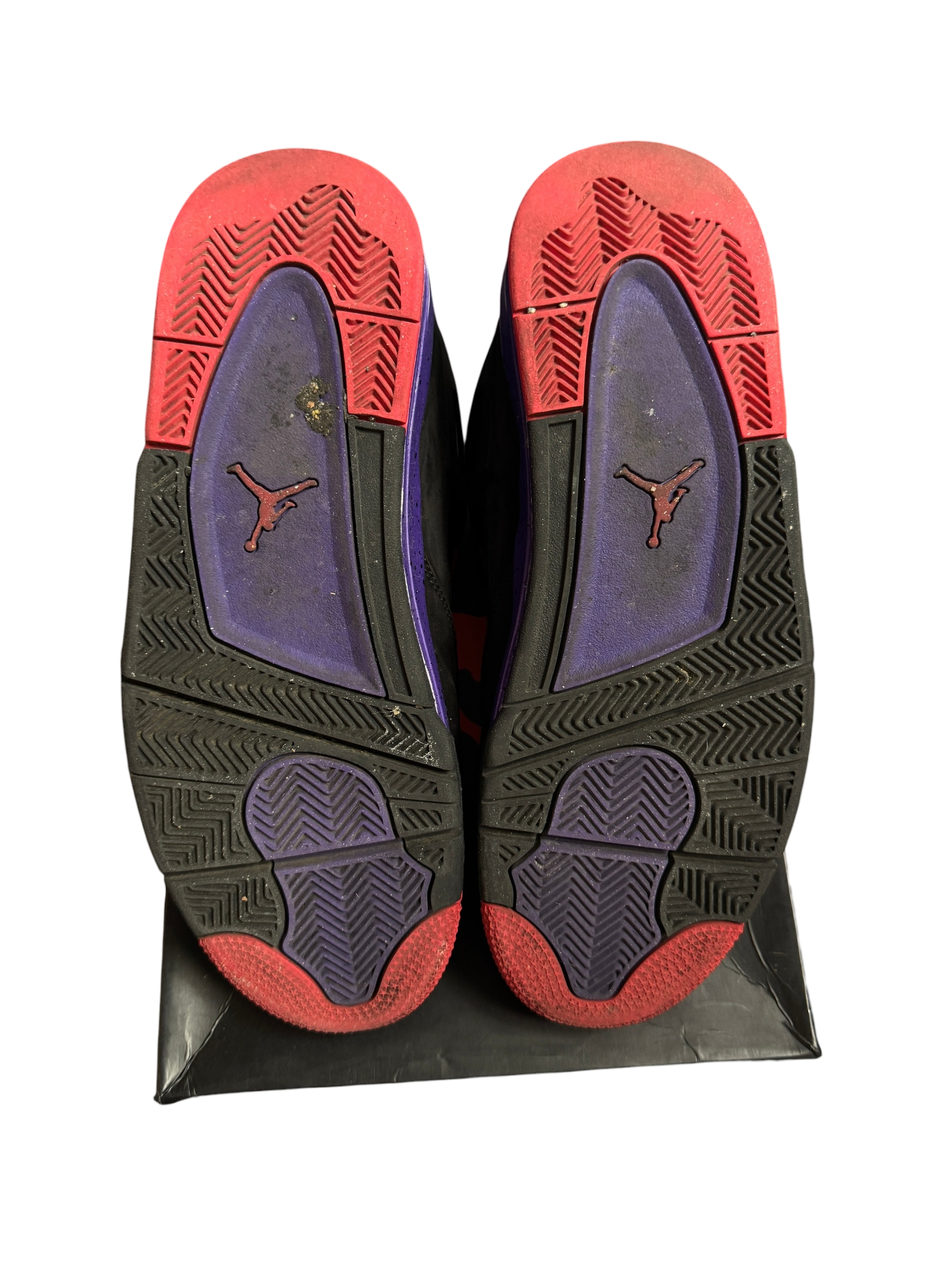 Jordan 4 Raptors
