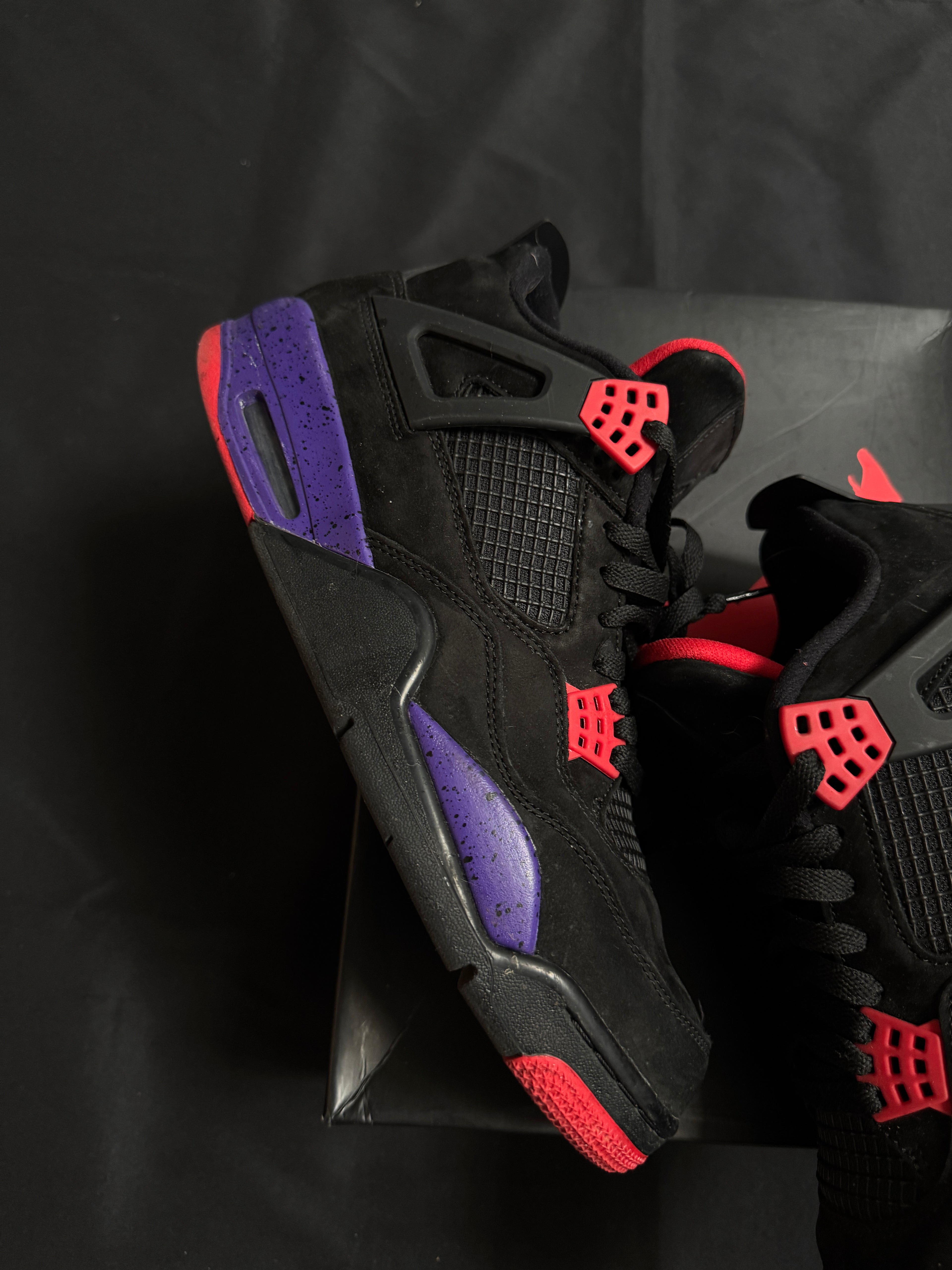 Jordan 4 Raptors