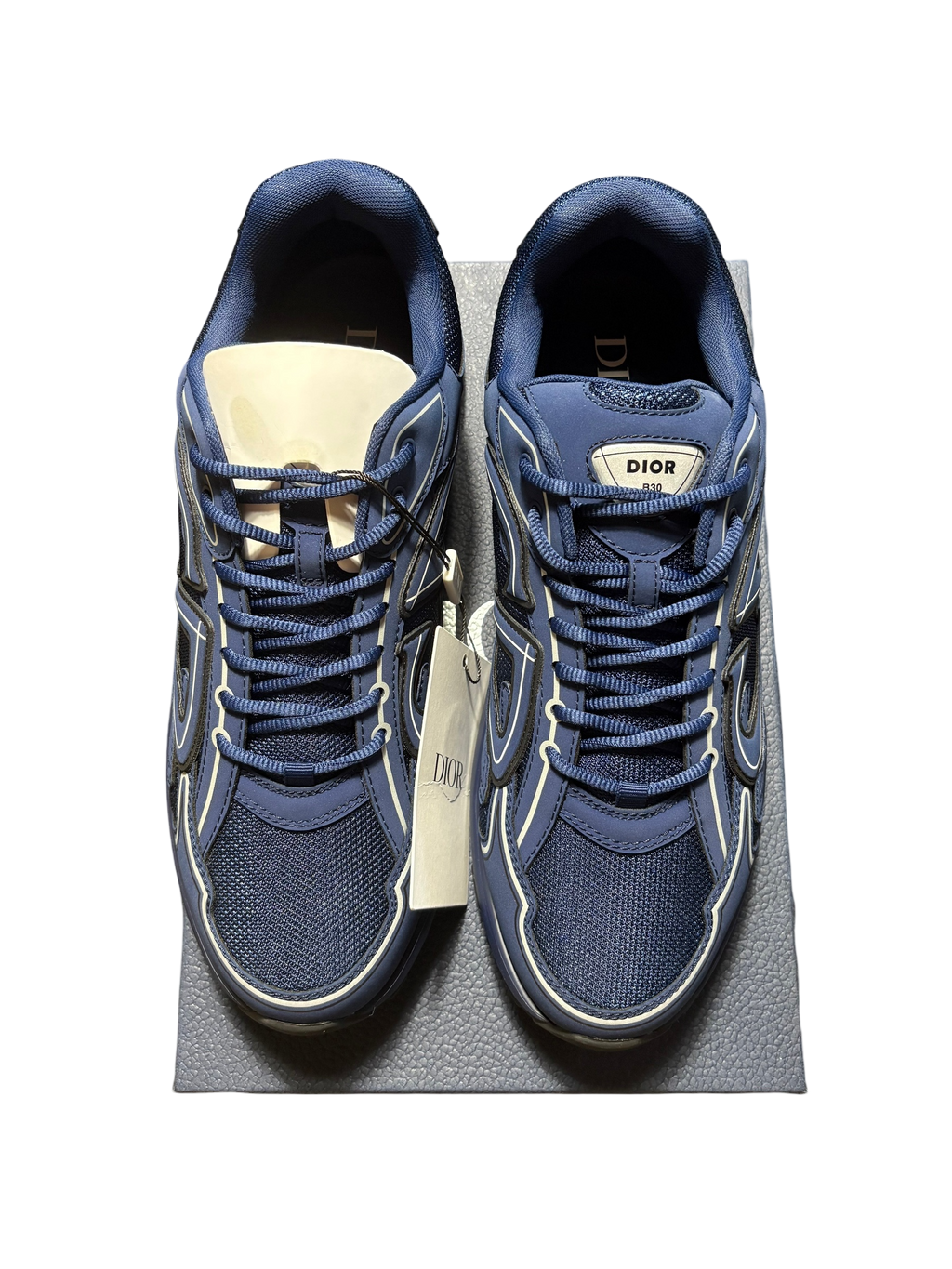 Dior B30 Navy Sneaker