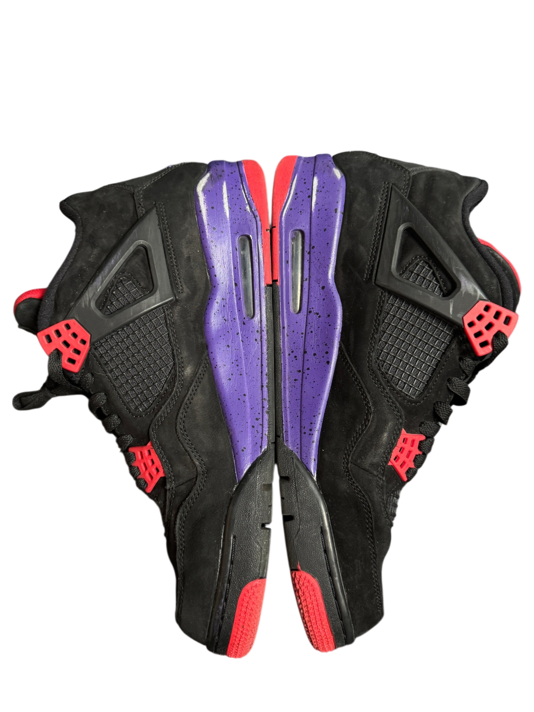 Jordan 4 Raptors
