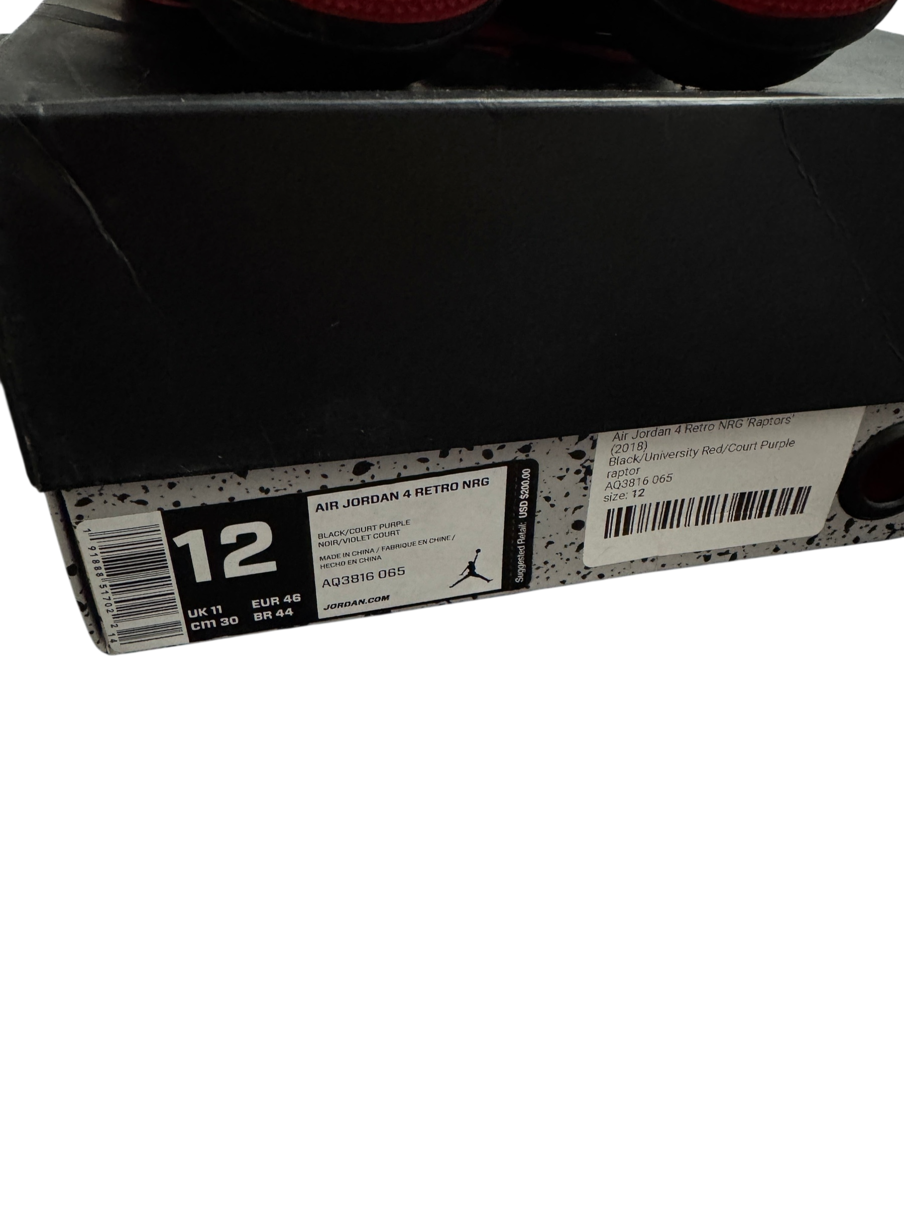 Jordan 4 Raptors