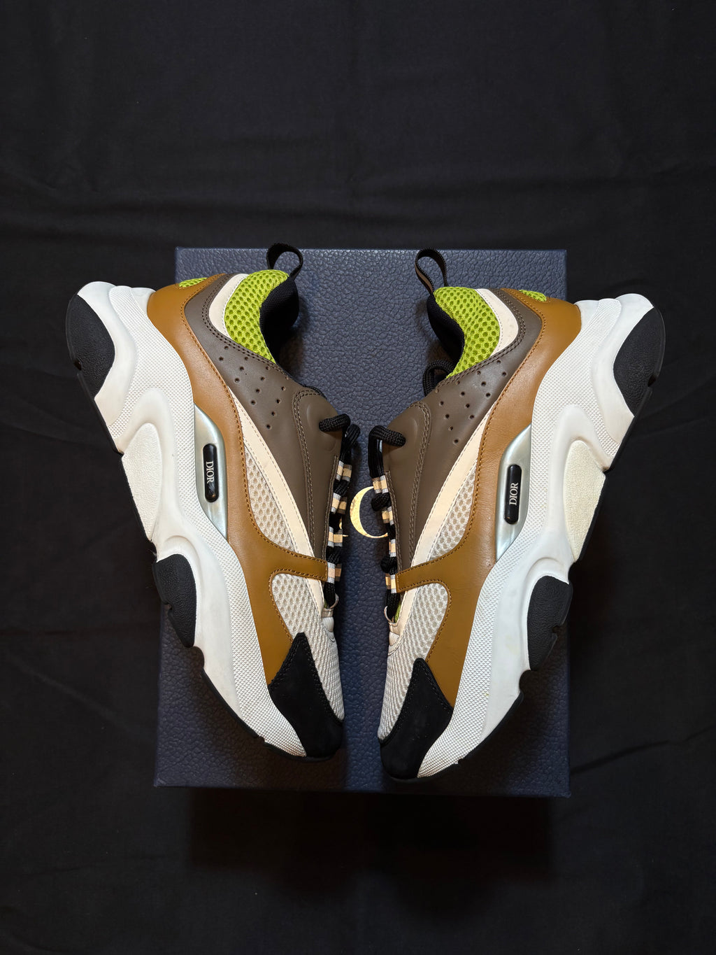 Dior B22 Brown Green