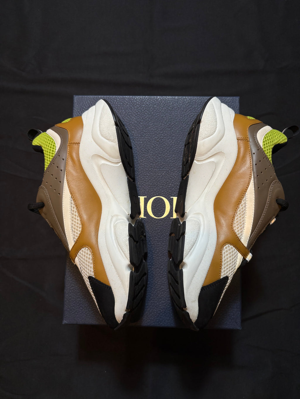 Dior B22 Brown Green