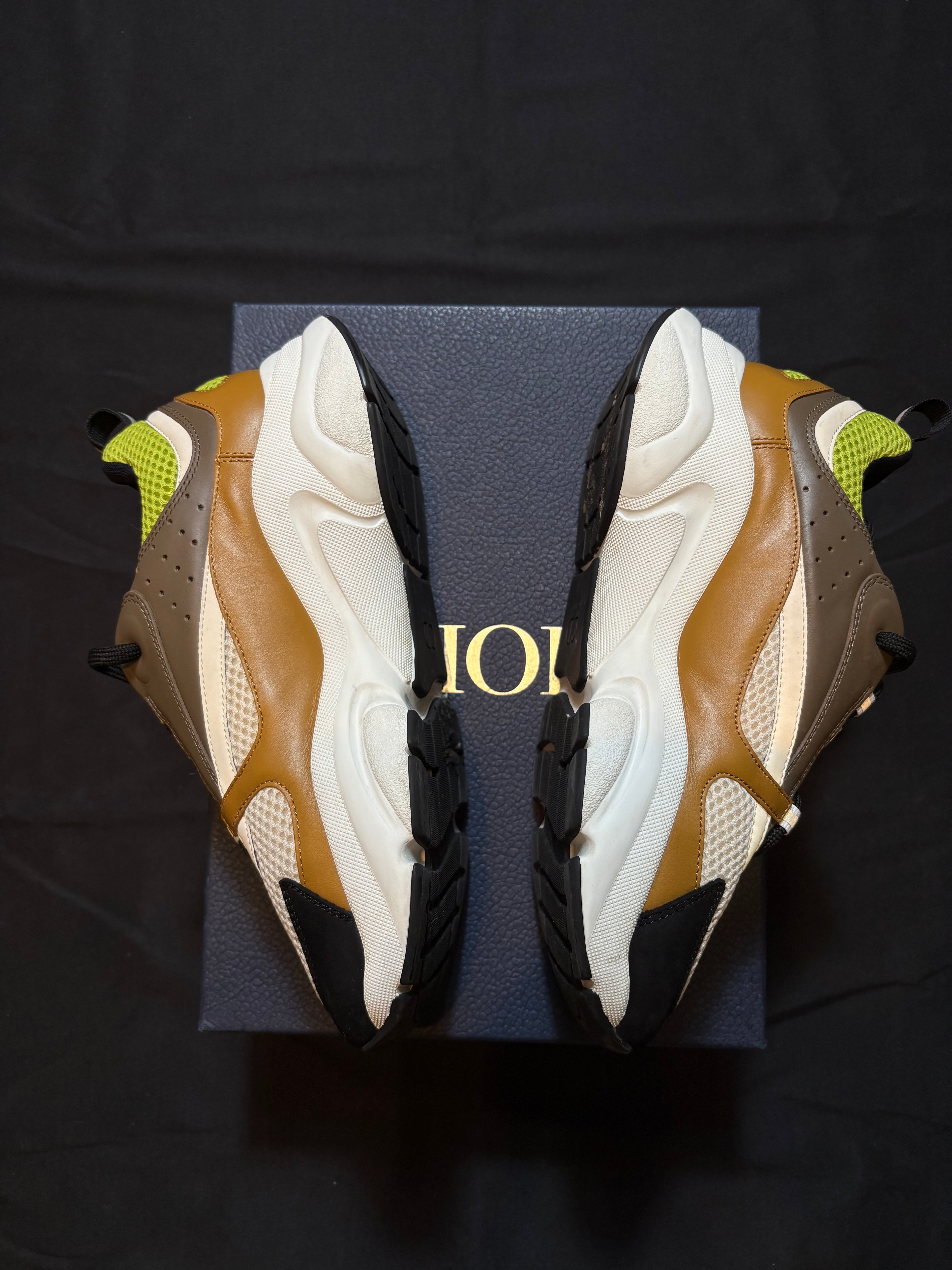 Dior B22 Brown Green