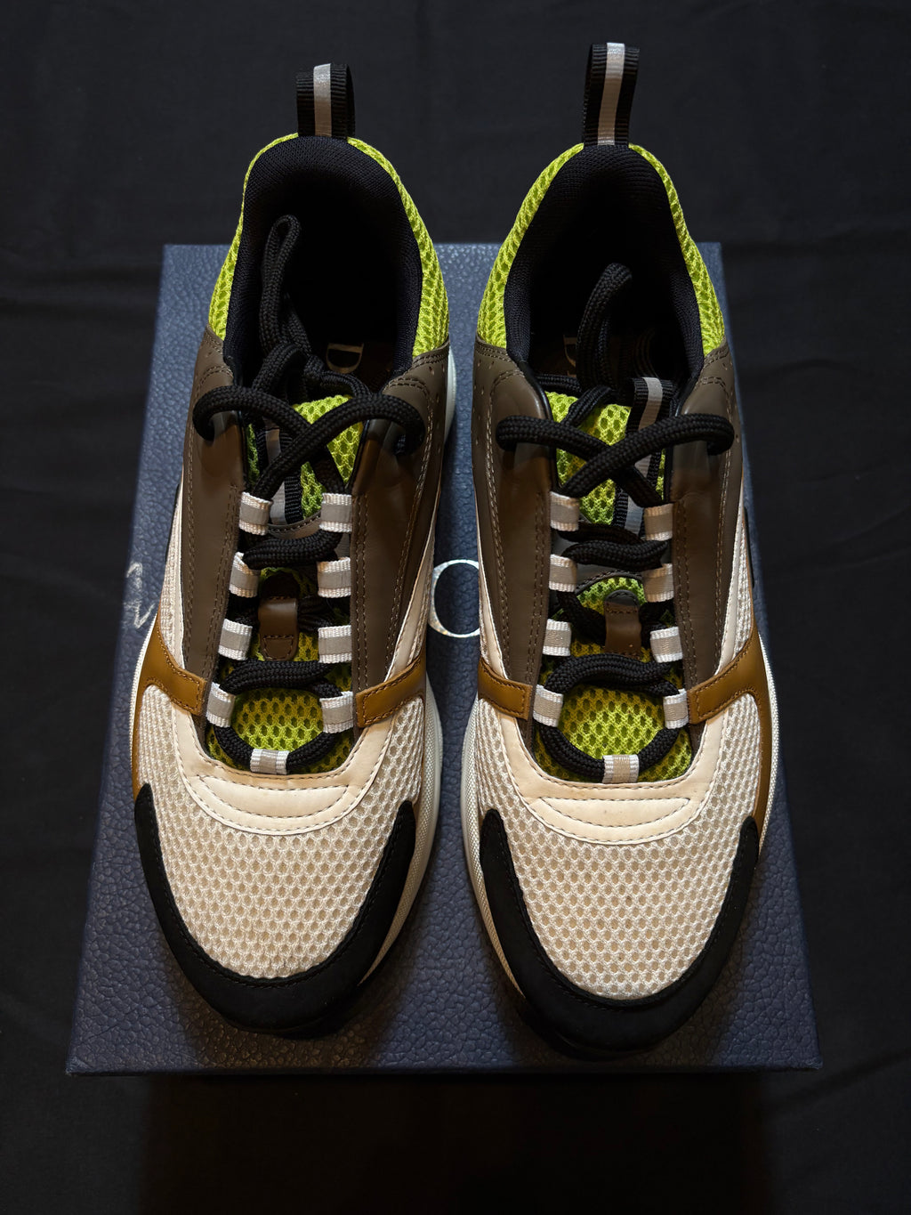 Dior B22 Brown Green