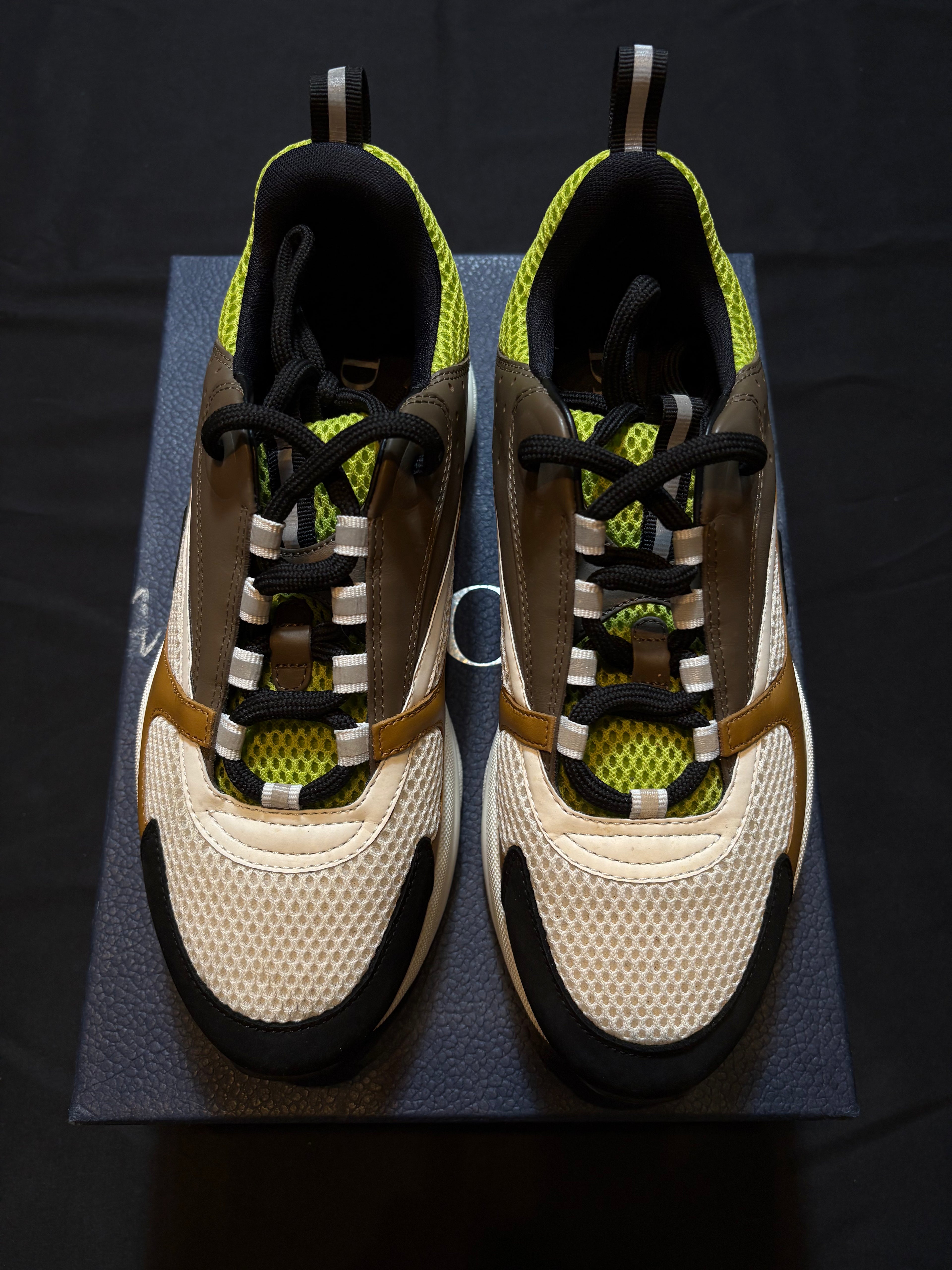 Dior B22 Brown Green