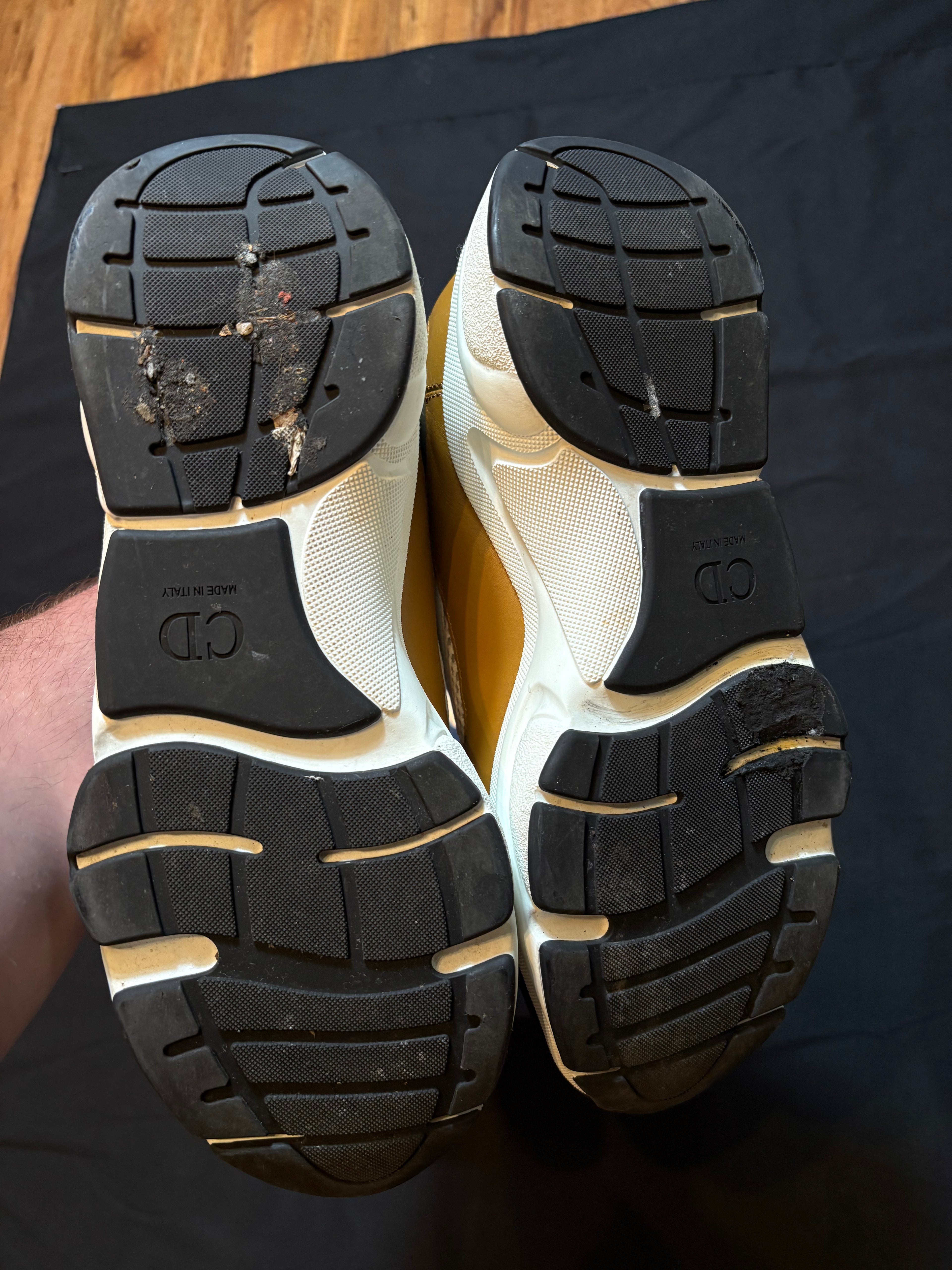 Dior B22 Brown Green